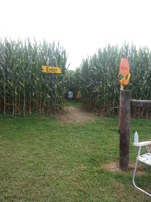 Get Lost In The Mcdonald's Corn Maze