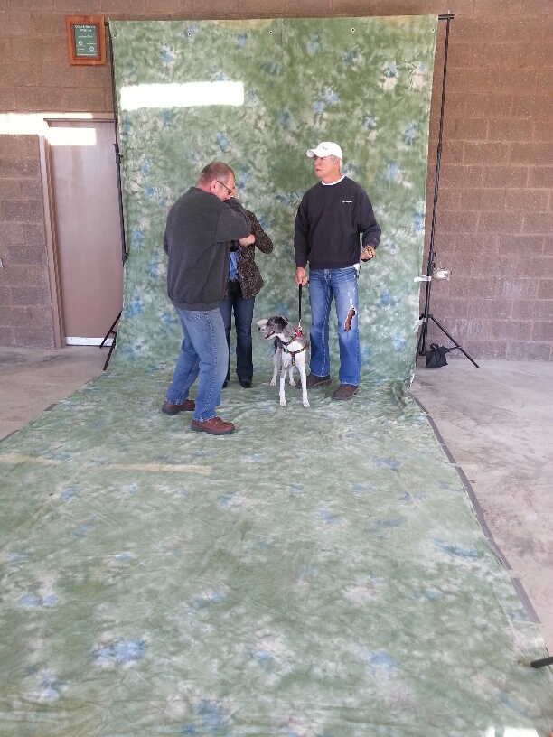 Pet Photos Taken