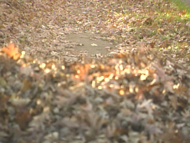 Zanesville Leaf Collection Schedule
