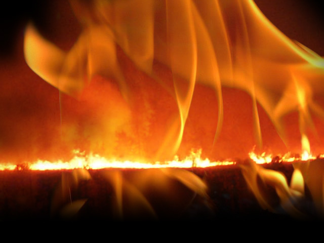 Barn Fire Kills Farm Animals