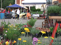 Zanesville Farmer's Market In Full Swing