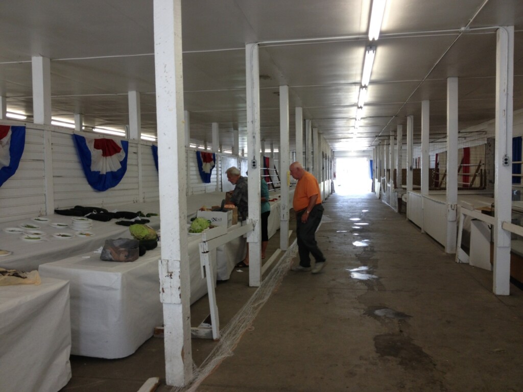 Cleaning Up At The 168th Muskingum County Blue Ribbon Fair