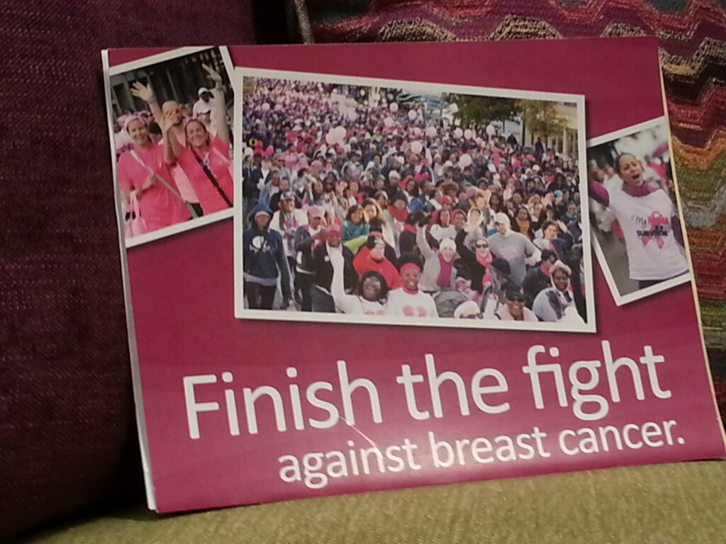 Making Strides Against Breast Cancer Walk In October