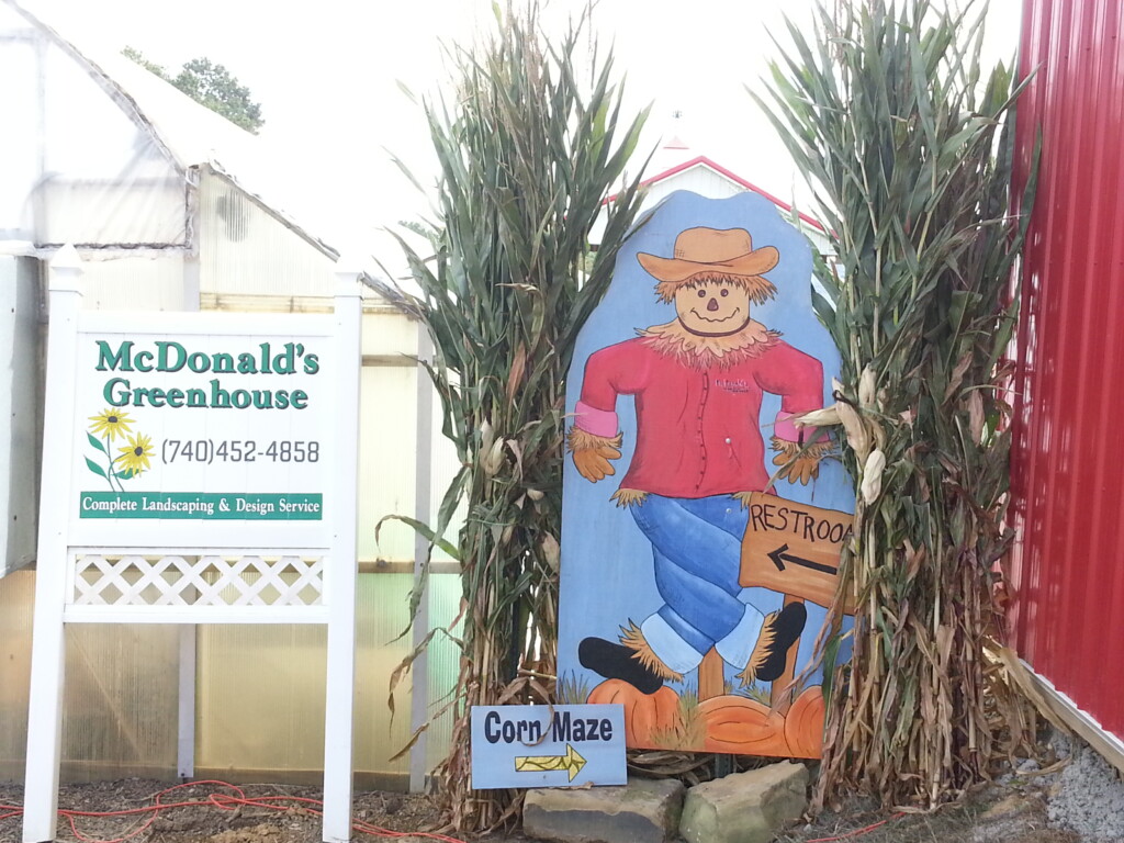Corn Maze At "old" Mcdonald's Farm