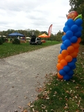 Annual Crohn's And Colitis Walk Raises Money And Hope