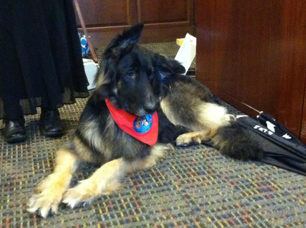 Dog Therapy Begins At Genesis Good Samaritan