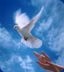 Grace W. Beebe (september 9, 1914 December 8, 2014)