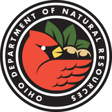 Odnr: Morgan County Dam Stabilized