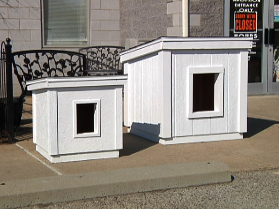 Homes For Pets