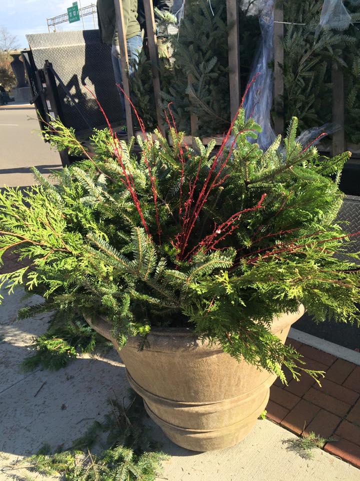 The Muskingum Valley Garden Society Brings Christmas To Downtown