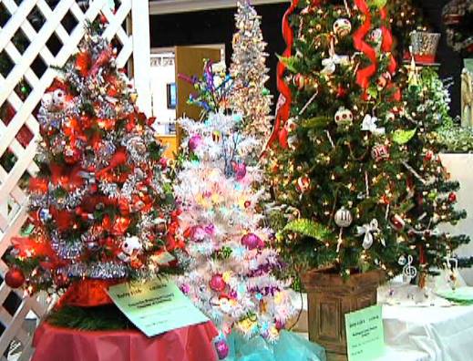 "festival Of Trees" Entry Deadline Approaching