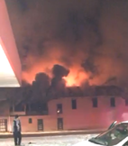Pinestfire