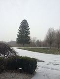 Lightsnow