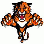 Tiger Graphic
