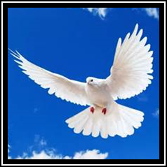 Gladys Marjorie Stotts (february 19, 1917 February 17, 2016)