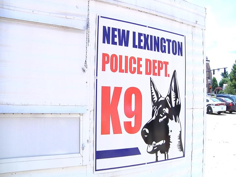 K 9 Party In The Park