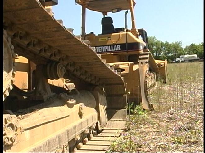 Organizers Prepare For 'family Field Day'