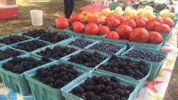 Farmer Market Pic Bc