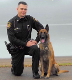 Sheriff K 9 Pic Dk