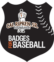 Badges For Baseball