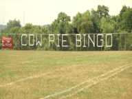 Jg Bingo Cv