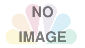 Noimage