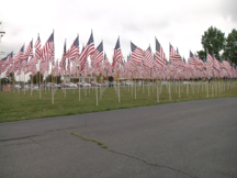 Ohio Flags Cv