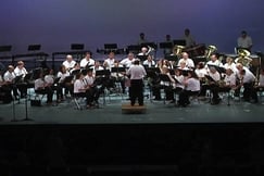 Concert 729 Dk