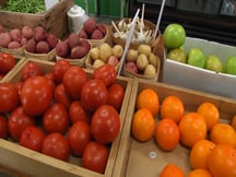 Veggie Cv