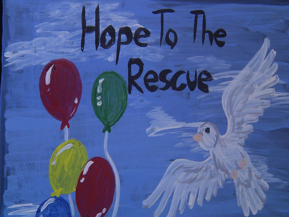 2016.09.23 Hope To Rescue Pic