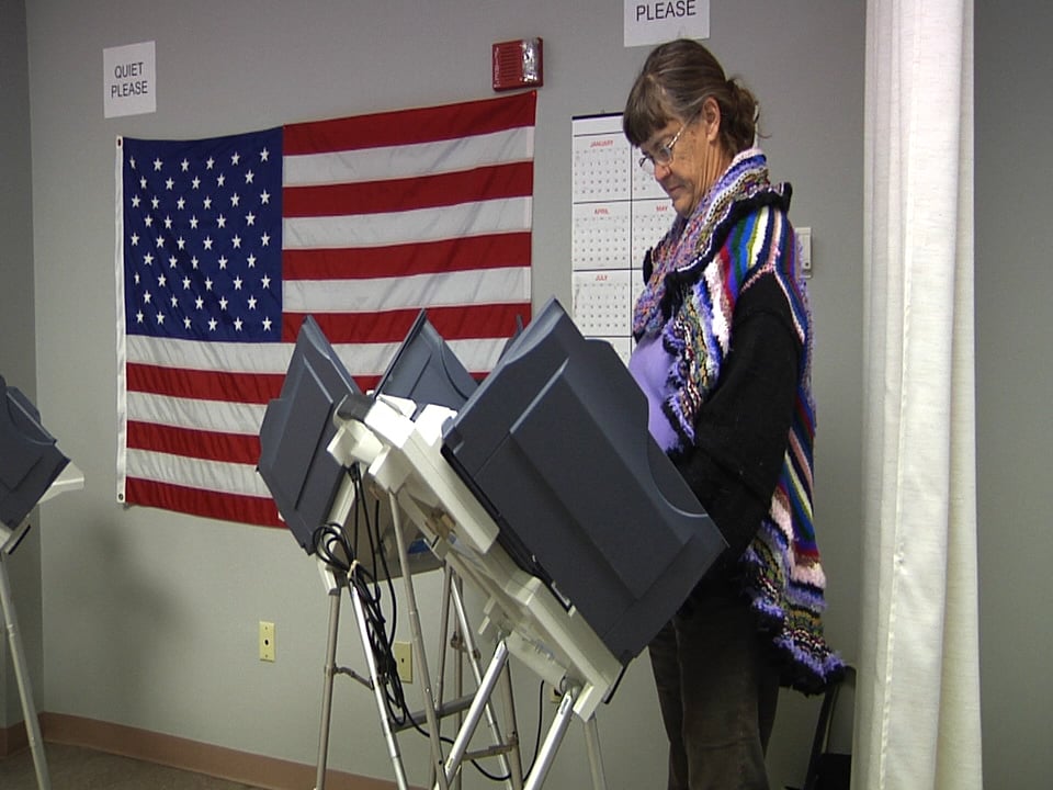 Voting Pic 1