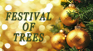 Festival Of Trees Square