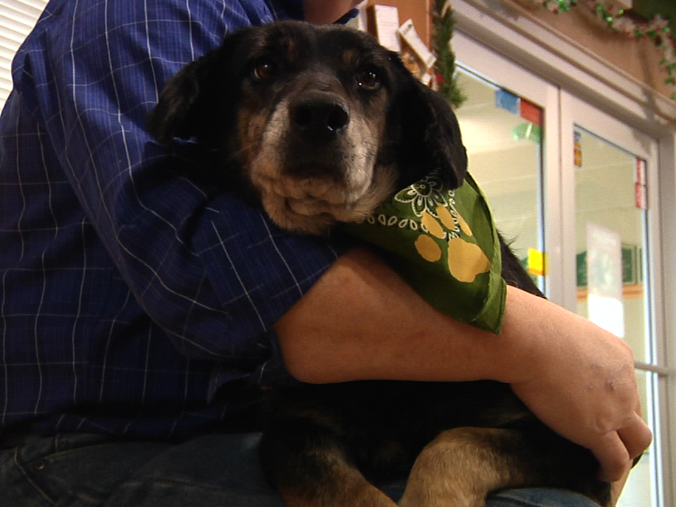 15683380 1405141882864313 1353835347 N