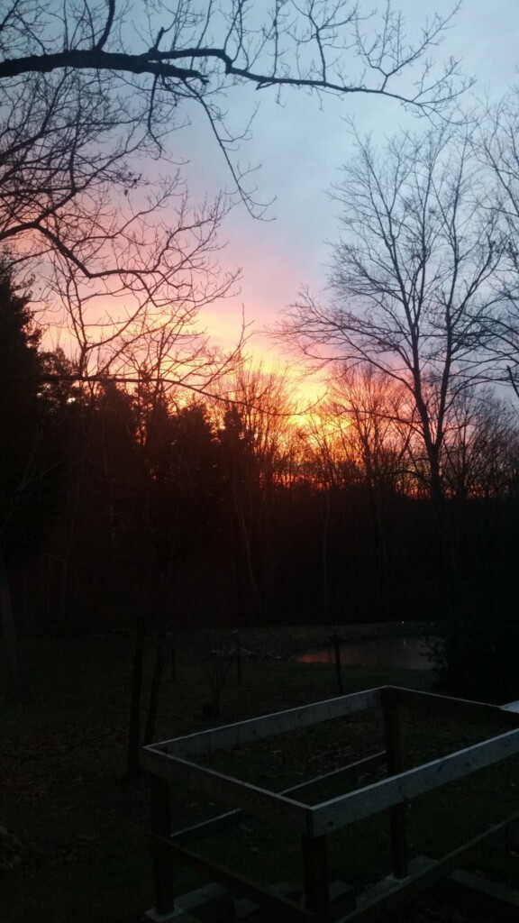 Sunset On The Last Day Of Fall