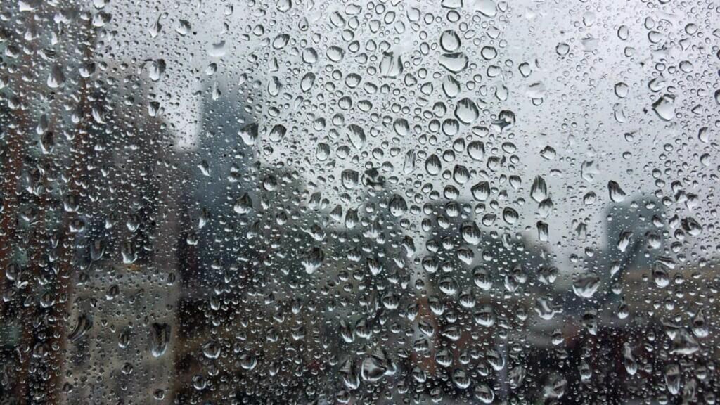 Rain