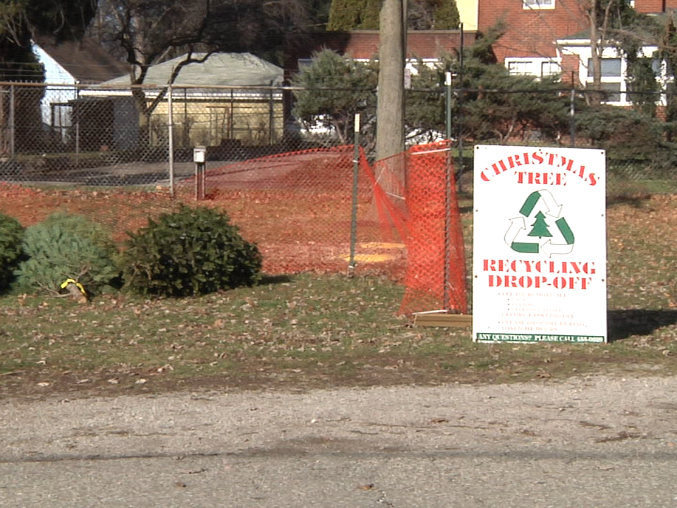 2016.12.27 Tree Recycle Pic