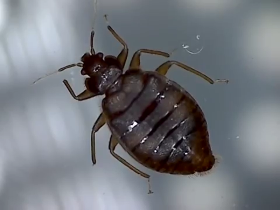 15935766 1416835338361634 1372939610 N