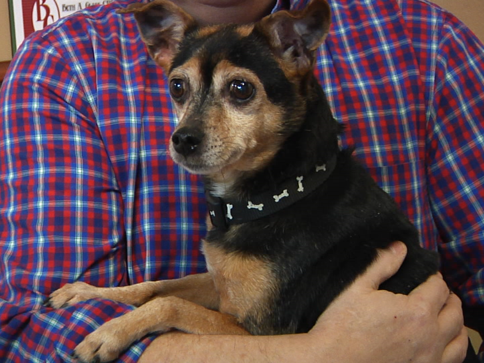 16507450 1445010212210813 75266792 N