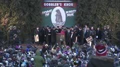 Groundhog