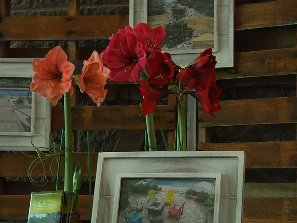 2017.03.04.flower Show 2