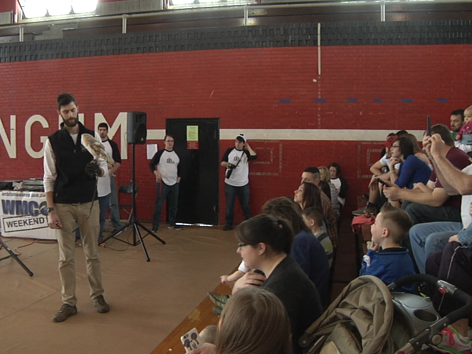 2017.03.25. Zoo Audience . 11