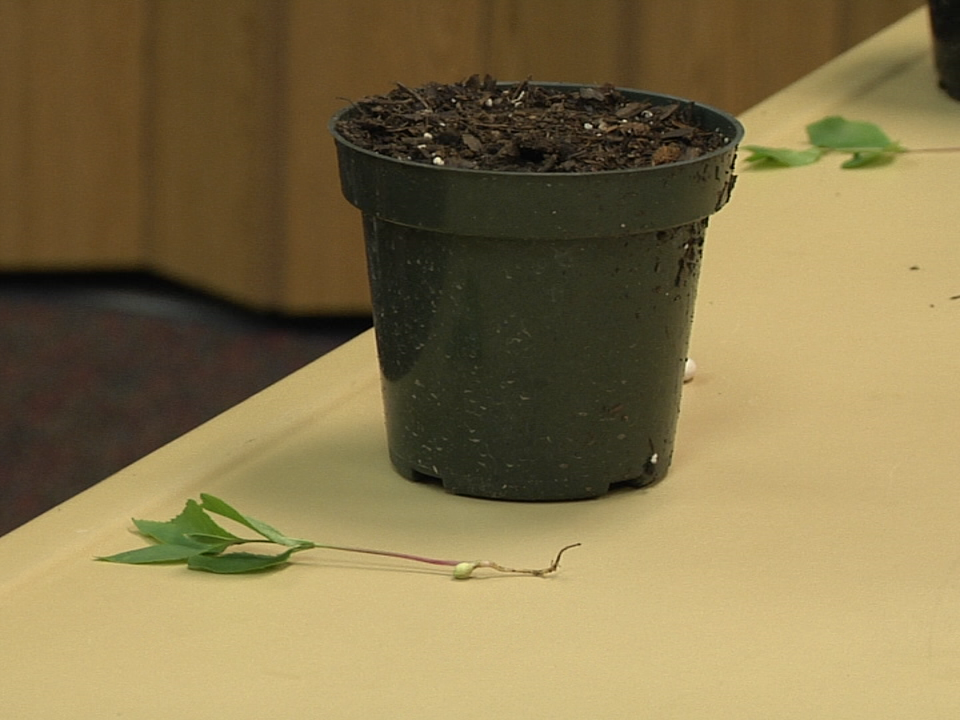 2017.04.22. Libary. 11 1