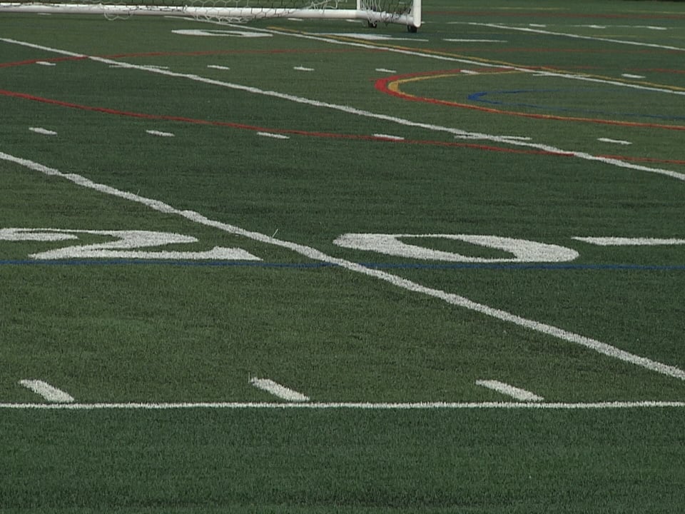 Turf
