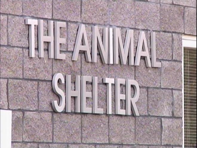 Animalshelter