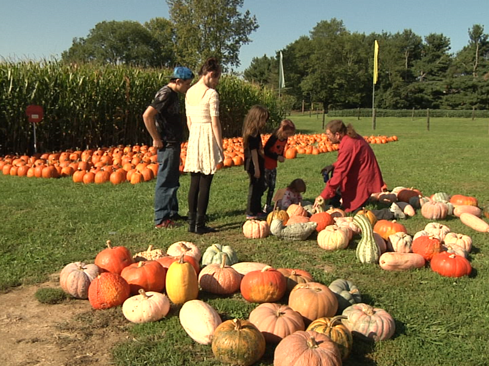 2017.09.16.farm City Days . 11