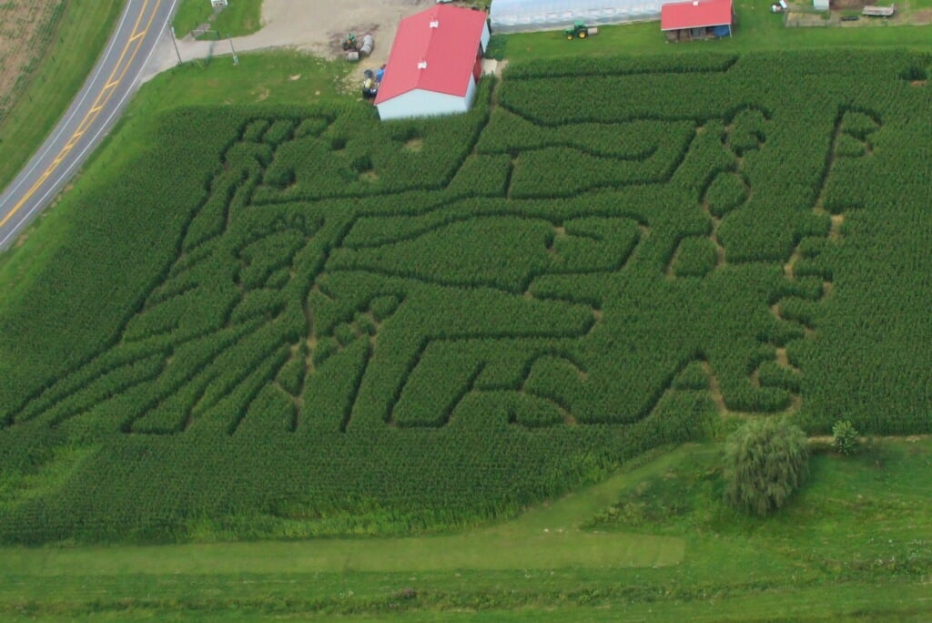 Corn Maze Aerial