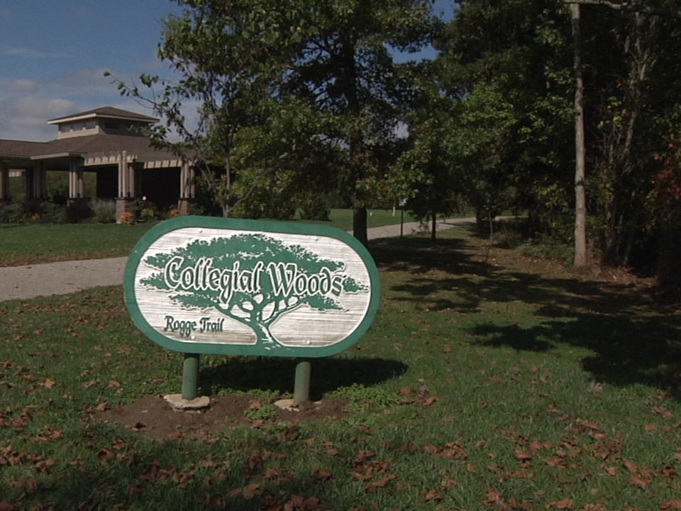 2017.10.10 Trail Of Treats Pic (1)