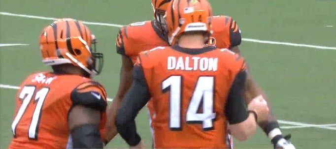 Bengals 2