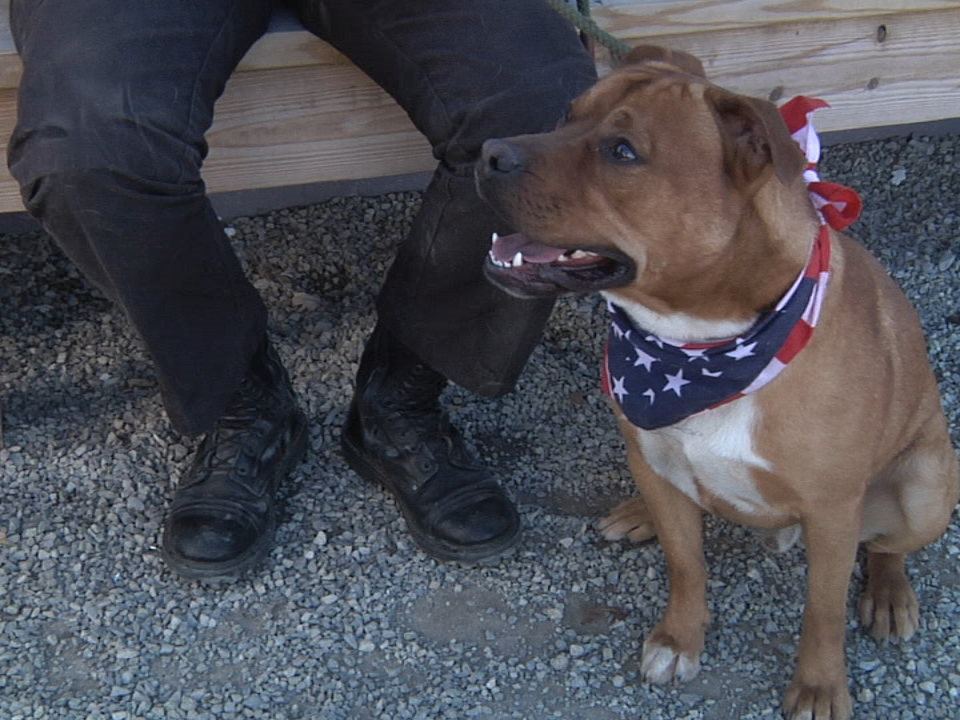 2017.11.28 Dog Pound Pic