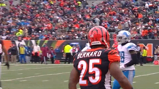 Bengals
